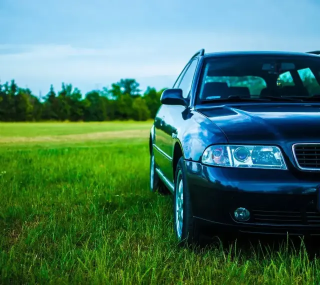 Ciemny Audi A4 B6 2.0 benzyna na tle zielonej łąki i lasu.