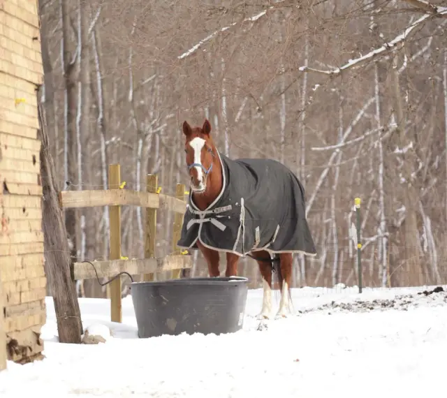 Un cheval qui transpire au repos en hiver, couvert d'une couverture, se tient près d'un abreuvoir dans la neige.