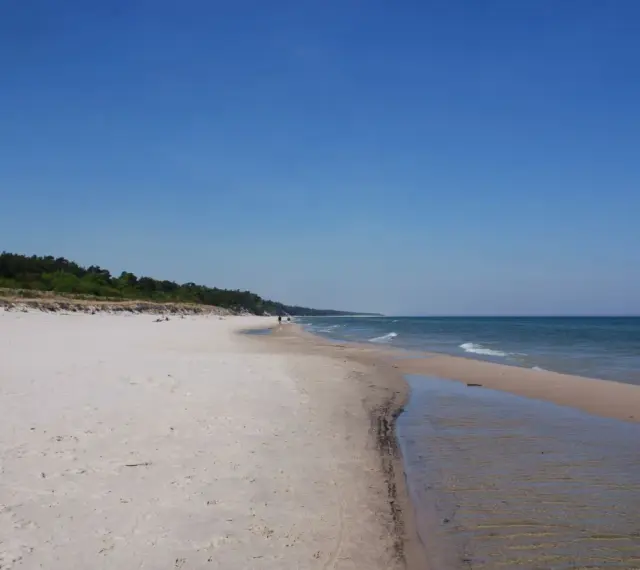 Piękna plaża w Karwieńskich Błotach. Jasny piasek, spokojne morze i las w tle. Idealne miejsce na spacer.