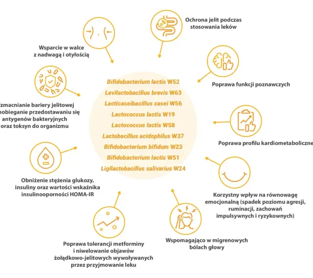 Diagram przedstawia korzyści z probiotyków, m.in. wsparcie w walce z nadwagą, poprawę funkcji poznawczych i tolerancji metforminy.