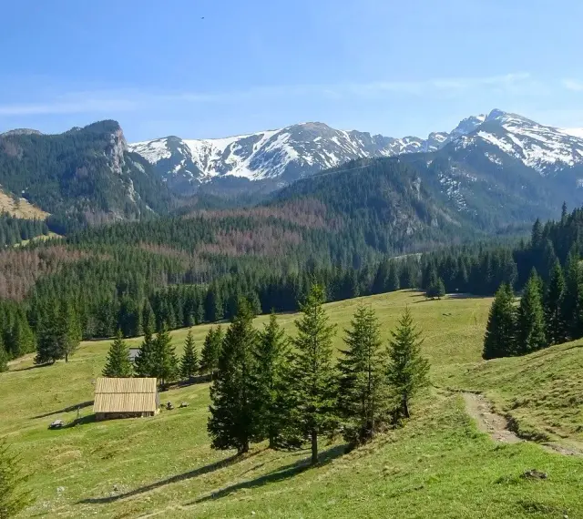 Tatry z zieloną halą, lasem i ośnieżonymi szczytami w tle. Drewniana chata.