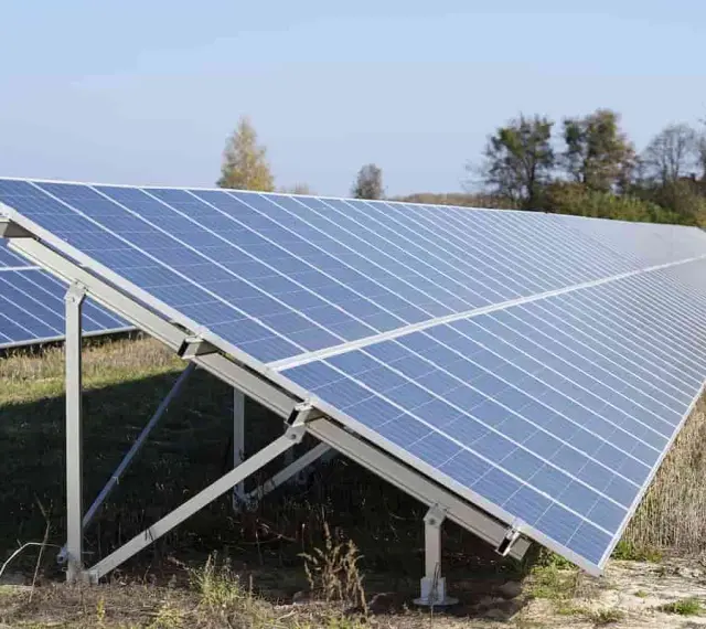 Duża instalacja PV na polu, panele słoneczne ustawione pod kątem, w tle drzewa i błękitne niebo.