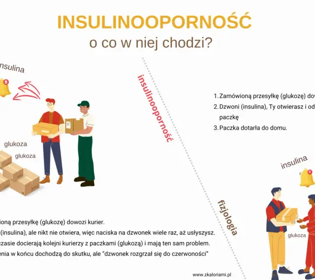 Ilustracja wyjaśnia hiperinsulinemię: kurierzy z glukozą czekają, a insulina (dzwonek) nie działa.