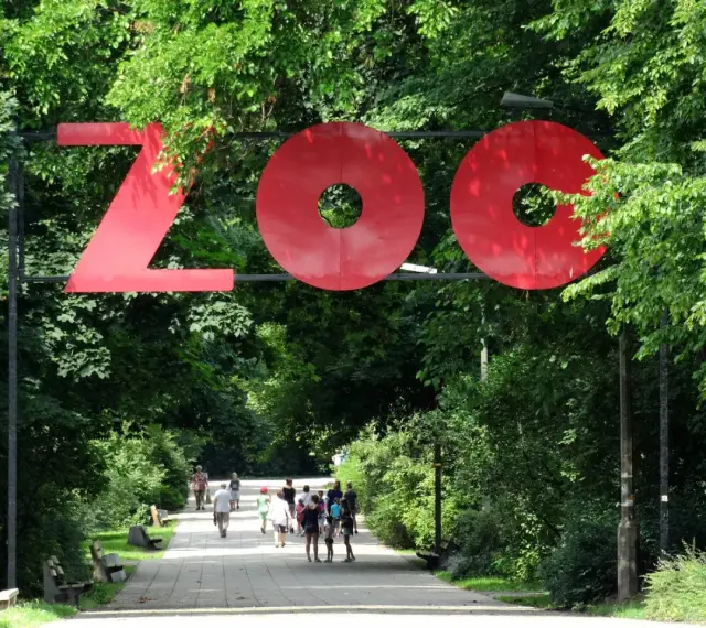 Witaj w największym zoo w Polsce! Czerwony napis "ZOO" wita gości na alei wśród zieleni.