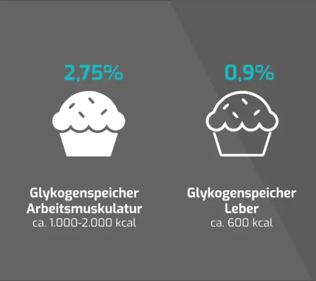 Vergleich von Energiespeichern: Fett (96,3%) und Glykogen in Muskeln (2,75%), Leber (0,9%) und Blut (0,04%).