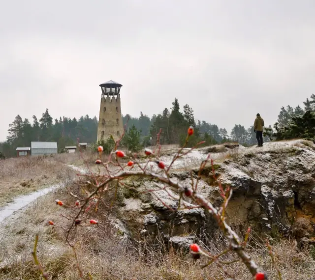 Wieża widokowa i samotny turysta na tle zimowego krajobrazu. Jósefów Roztocze atrakcje zimową porą.