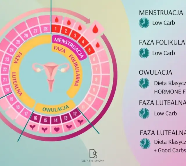 Cykl menstruacyjny: faza folikularna, owulacja i faza lutealna. Schemat cyklu z podziałem na fazy i zalecenia dietetyczne.