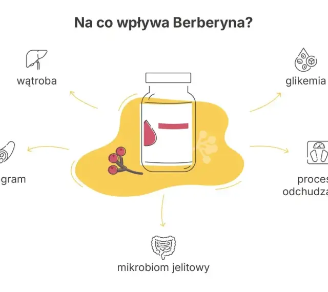 Berberyna wspiera proces odchudzania, reguluje glikemię, lipidogram, wątrobę i mikrobiom jelitowy.