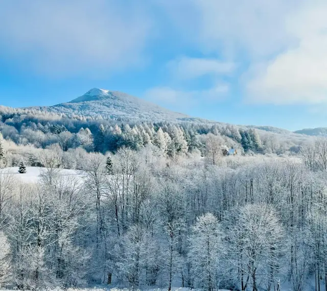 Bieszczady zimą. Ośnieżone drzewa i góry pod błękitnym niebem. W oddali widać mały domek.