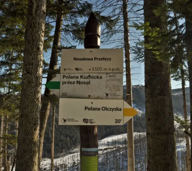 Znak szlaku na Nosalowej Przełęczy, 1103 m n.p.m. Kierunki: Polana Kuźnicka (55 min) i Polana Olczyska (20 min).