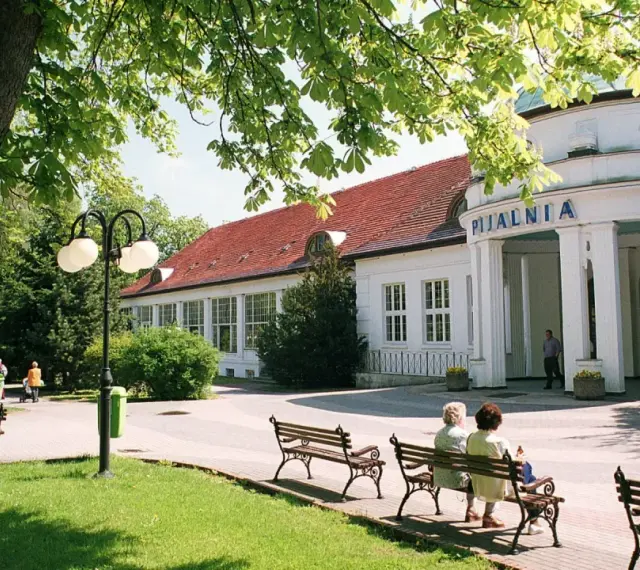 Uzdrowiska na Dolnym Śląsku: Pijalnia wód w otoczeniu zieleni, z ławkami dla kuracjuszy.