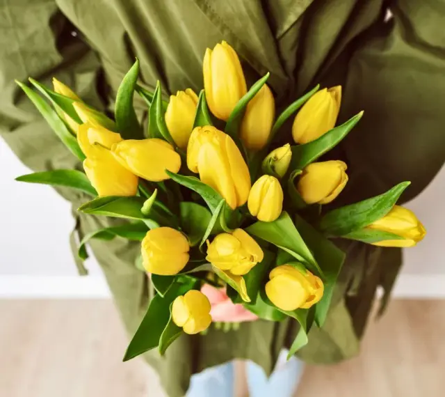 Bukiet żółtych tulipanów, symbolizujących radość i nadzieję. Co oznacza żółty tulipan? To uśmiech natury!