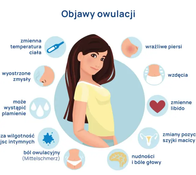Objawy owulacji: zmienna temperatura, wyostrzone zmysły, plamienie, wilgotność, ból, wzdęcia, libido, nudności, bóle głowy, wrażliwe piersi, zmiany szyjki macicy.