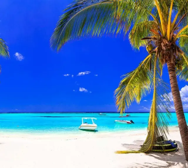 Rajska plaża na Mauritiusie w czerwcu. Błękitne niebo, turkusowa woda i palmy tworzą idealną pogodę na wakacje.