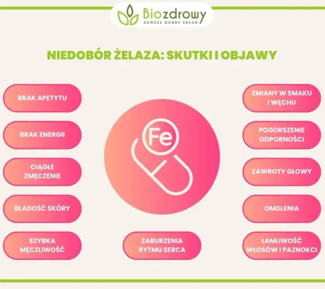 Niedobór żelaza objawy: brak apetytu, energii, ciągłe zmęczenie, bladość skóry, szybka męczliwość, zmiany smaku, pogorszenie odporności, zawroty głowy, omdlenia, łamliwość włosów i paznokci.