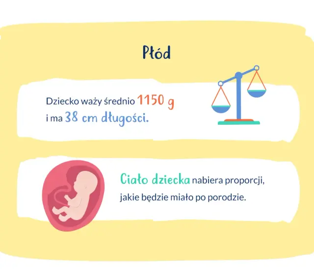 28 tydzień ciąży: płód waży 1150g i ma 38cm. Ciało dziecka nabiera proporcji.