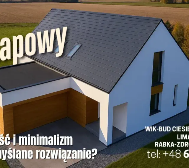 Nowoczesny dom z dachem bezokapowym, idealny dla ceniących minimalizm. WIK-BUD CIESIELSTWO.
