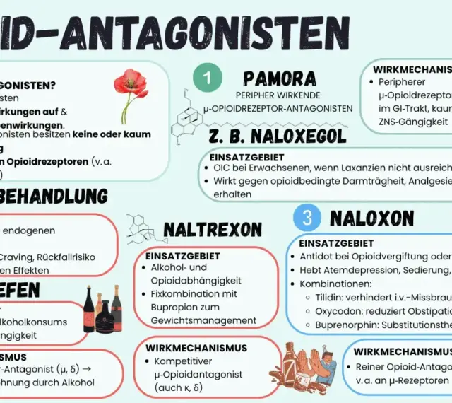Opioid-Antagonisten wie Naloxon, Naltrexon und Naloxegol blockieren Opioidrezeptoren. Sie helfen bei der Suchtbehandlung und können Nebenwirkungen von Opioiden wie Obstipation bei Oxycodon reduzieren.