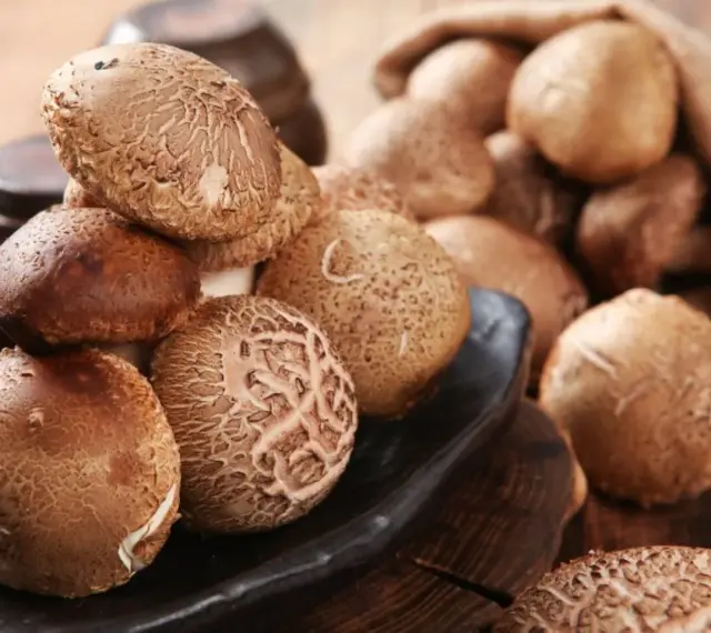 Kupa świeżych grzybów shiitake na czarnej desce, niektóre w worku jutowym.