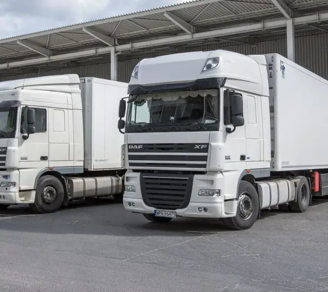 Dwa białe ciągniki siodłowe DAF XF, gotowe do trasy. Posiadanie prawa jazdy kat C+E otwiera drogę do takich pojazdów.