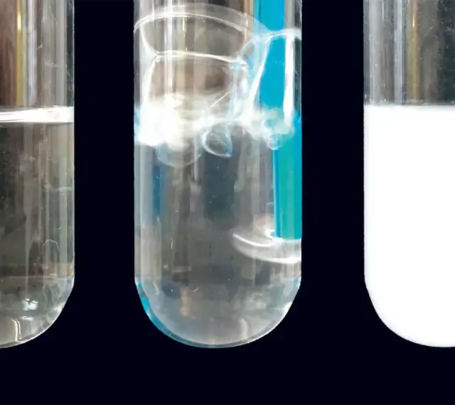 Drei Reagenzgläser zeigen eine klare Flüssigkeit, sprudelnde Flüssigkeit und eine milchige Flüssigkeit. Dies ist eine kalkwasserprobe.
