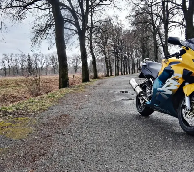 Żółto-niebieska Honda CBR F4 zaparkowana na mokrej drodze wśród drzew.