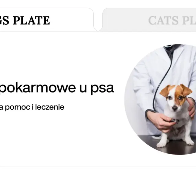 Weterynarz bada psa, który może mieć zatrucie pokarmowe. Tekst informuje o objawach, pierwszej pomocy i leczeniu.