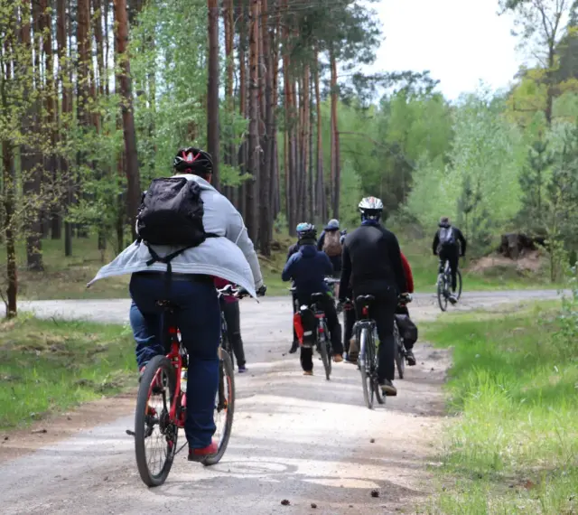 Grupa rowerzystów w lesie. Słońce przebija się przez drzewa, a ścieżka jest piaszczysta. To świetny sposób na spalenie puste kalorie i cieszenie się naturą.