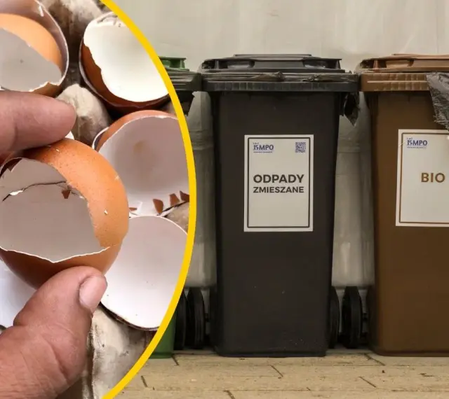 Skorupki jajek w dłoni obok koszy na odpady: zmieszane i bio.