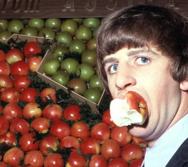 Ringo Starr, perkusista The Beatles, gryzie jabłko na tle stosów czerwonych i zielonych owoców.
