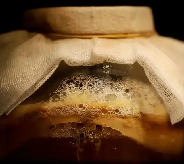 Słoik z kombuchą, pokryty gazą, z widoczną kulturą SCOBY i bąbelkami. Czy kombucha jest zdrowa? To pytanie nurtuje wielu.