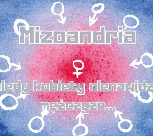 Mizoandria: kiedy kobiety nienawidzą mężczyzn... Symbol Wenus otoczony symbolami Marsa.