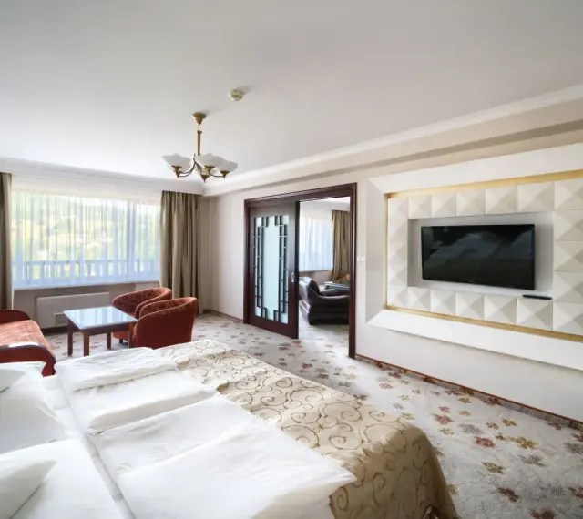 Wnętrze pokoju hotelowego z łóżkiem, kanapą i fotelem. Warto sprawdzić, ile pokoi ma Hotel Gołębiewski w Wiśle, by wybrać idealny dla siebie.