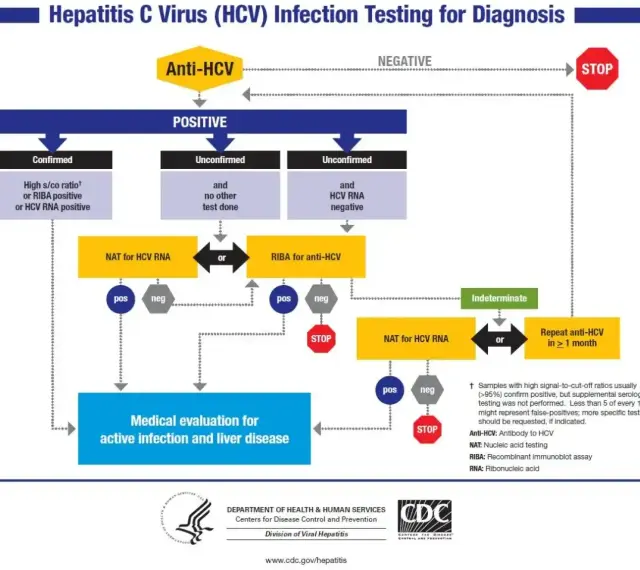 Schemat diagnostyki zakażenia HCV. Analizuje wyniki testów Anti-HCV, NAT, RIBA, by ocenić zapalenie wątroby typu C objawy.