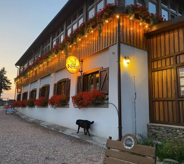 Urokliwe schronisko Orzeł z czerwonymi pelargoniami i girlandą światełek. Czarny piesek spaceruje przed budynkiem.