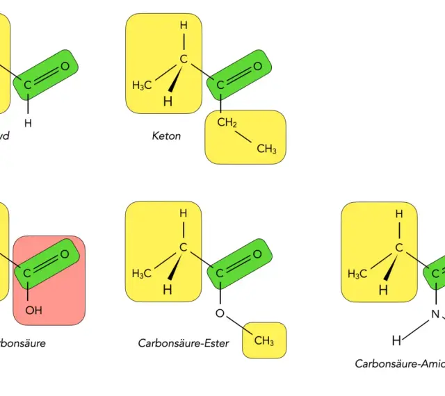Chemische Strukturen: Aldehyd, Keton, Carbonsäure, Ester und Amid. Die **Carbonylgruppe** ist zentral für diese funktionellen Gruppen.