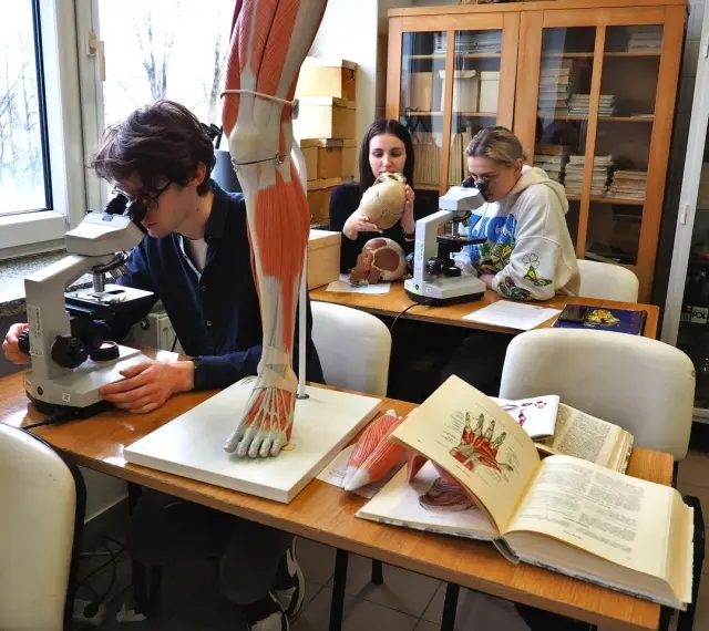 Studenci biologii medycznej zgłębiają tajniki anatomii przy mikroskopach i modelach.