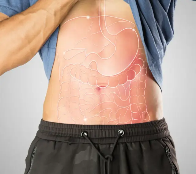 Anatomia jamy brzusznej z zaznaczonymi narządami wewnętrznymi.