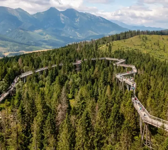 Ścieżka w koronach drzew na Słowacji, wspaniałe słowacja atrakcje blisko Zakopanego, z widokiem na Tatry.