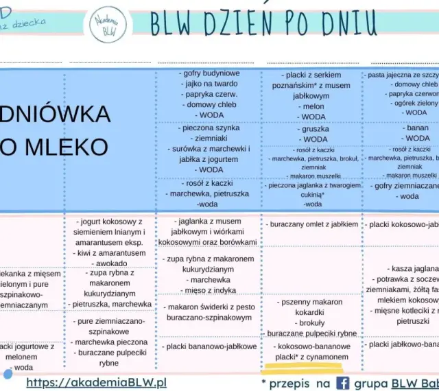 Tabela z propozycjami posiłków dla niemowląt, które stosują metodę BLW. Znajdziesz tu pomysły na śniadania, obiady i kolacje.