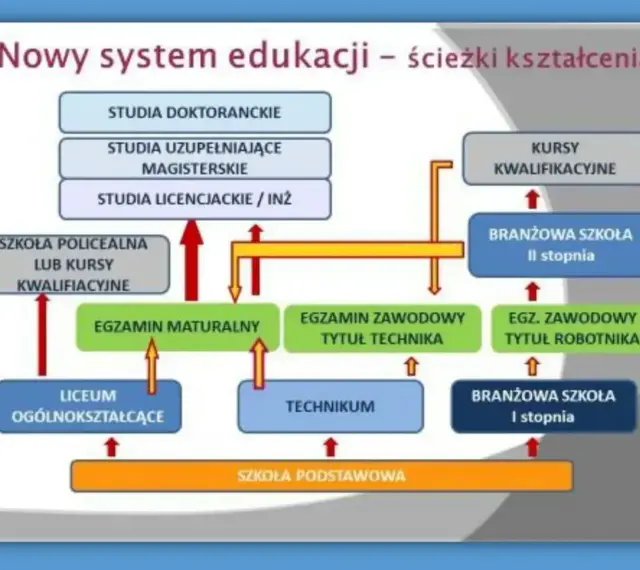 Schemat ścieżek kształcenia po szkole podstawowej. Po ukończeniu szkoły podstawowej można wybrać liceum, technikum lub branżową szkołę I stopnia, która daje wykształcenie średnie zawodowe.