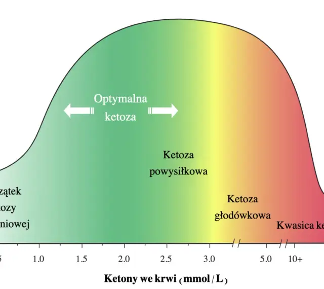 Wykres pokazuje optymalne zasilanie mięśni i mózgu w zależności od poziomu ketonów we krwi, od początku ketozy żywieniowej do kwasicy ketonowej.