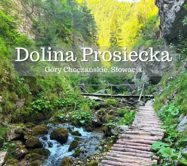 Malownicza Dolina Prosiecka w słowackich górach. Drewniany chodnik wije się wzdłuż potoku, otoczony bujną zielenią i skalnymi ścianami.