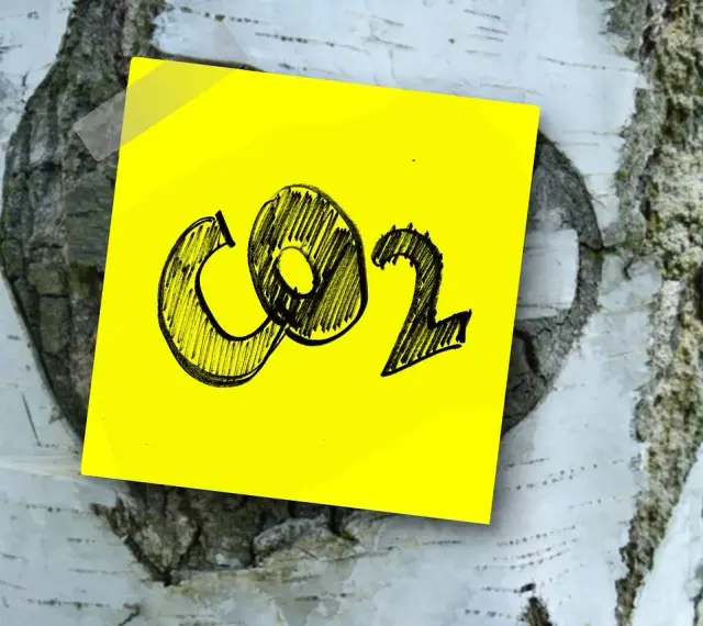 Żółta kartka z napisem CO2 przyklejona do kory brzozy. Symbolizuje wpływ emisji na zmiany klimatyczne.