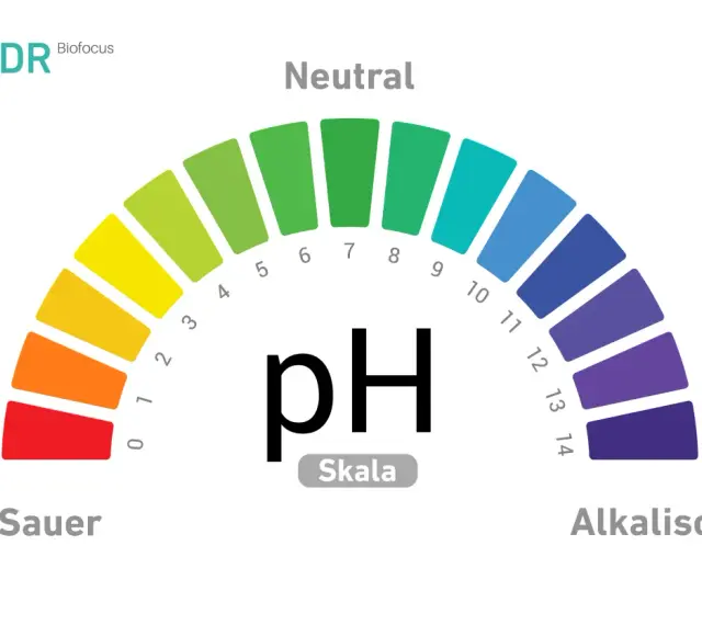 Die pH-Wert Skala zeigt den Bereich von sauer (rot) über neutral (grün) bis alkalisch (blau/violett).