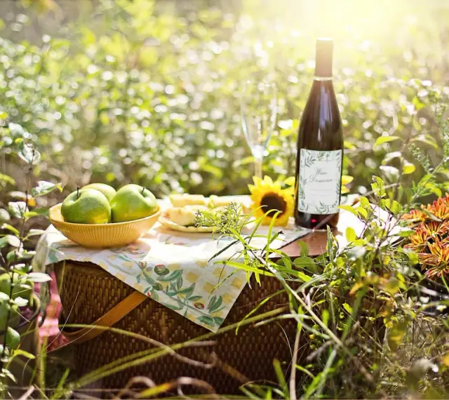 Piknik z jabłkami i butelką domowego wina. Idealny przepis na wino z jabłek 10l.