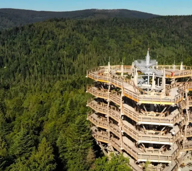 Krynica-Zdrój: Co zobaczyć? Twój plan na niezapomniany wyjazd
