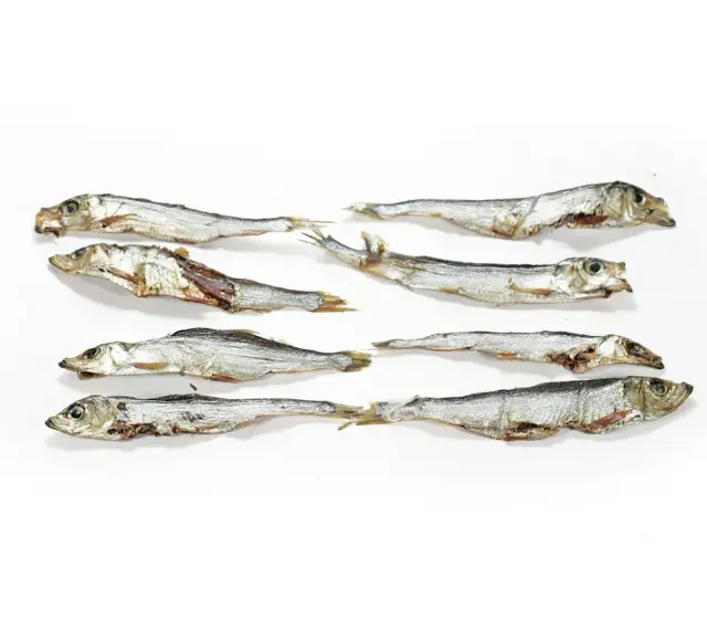 Suszone szprotki ułożone w rzędach. Czy szprotki są zdrowe? Tak, to bogactwo kwasów omega-3 i białka.