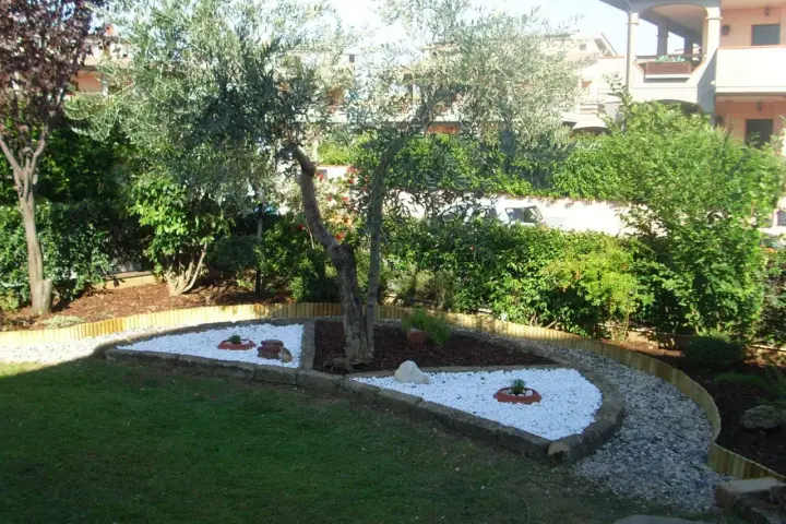 Giardino zen con ulivo e aiuole di sassi bianchi, un'idea per un angolo di pace.