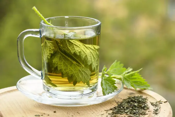 Une tasse en verre remplie d'infusion ortie, avec des feuilles fraîches et séchées à côté.